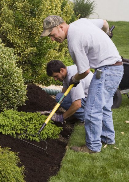 mulching-157180545-58dd366a5f9b584683c3632f mulching-157180545-58dd366a5f9b584683c3632f